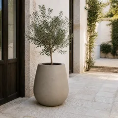 Cunda bitkili mimari mekân temsili
